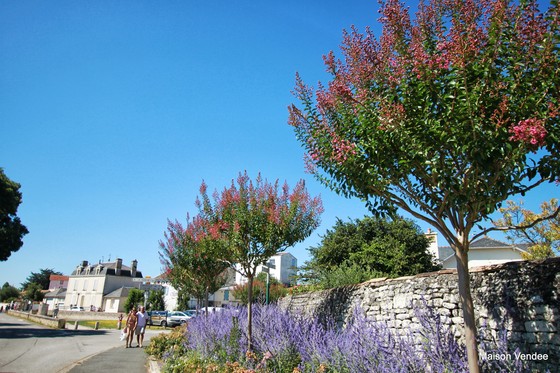 Maison vendee French rental cottage Vendee gite self catering france